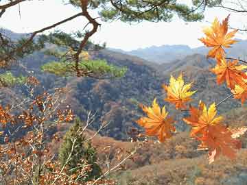 当涂县文化广电体育和旅游局领导团队最新概述