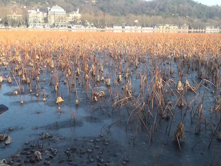 孤山镇天气预报更新通知