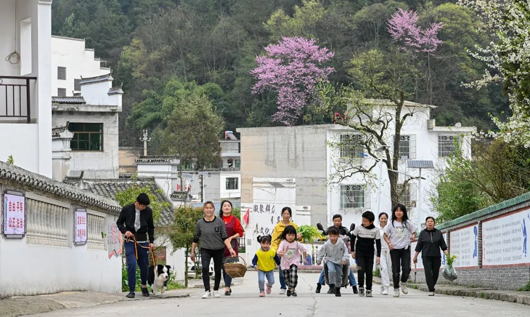 观音庙村委会交通新闻，打造便捷出行环境，提升村民生活质量