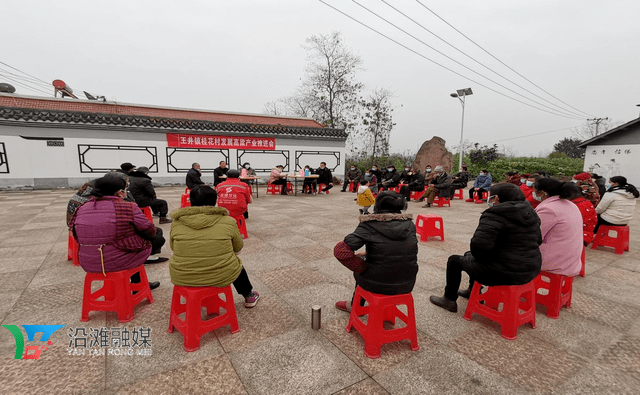 桂花村委会发展规划概览，未来蓝图揭秘