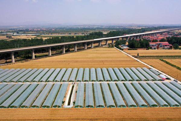 石羊河林业总场生活区天气预报更新通知