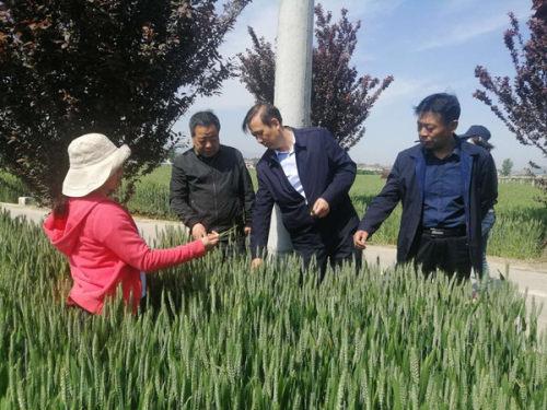 马家街道天气预报更新通知