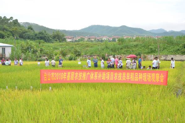 丰镇市农业农村局新项目推动农业现代化助力乡村振兴