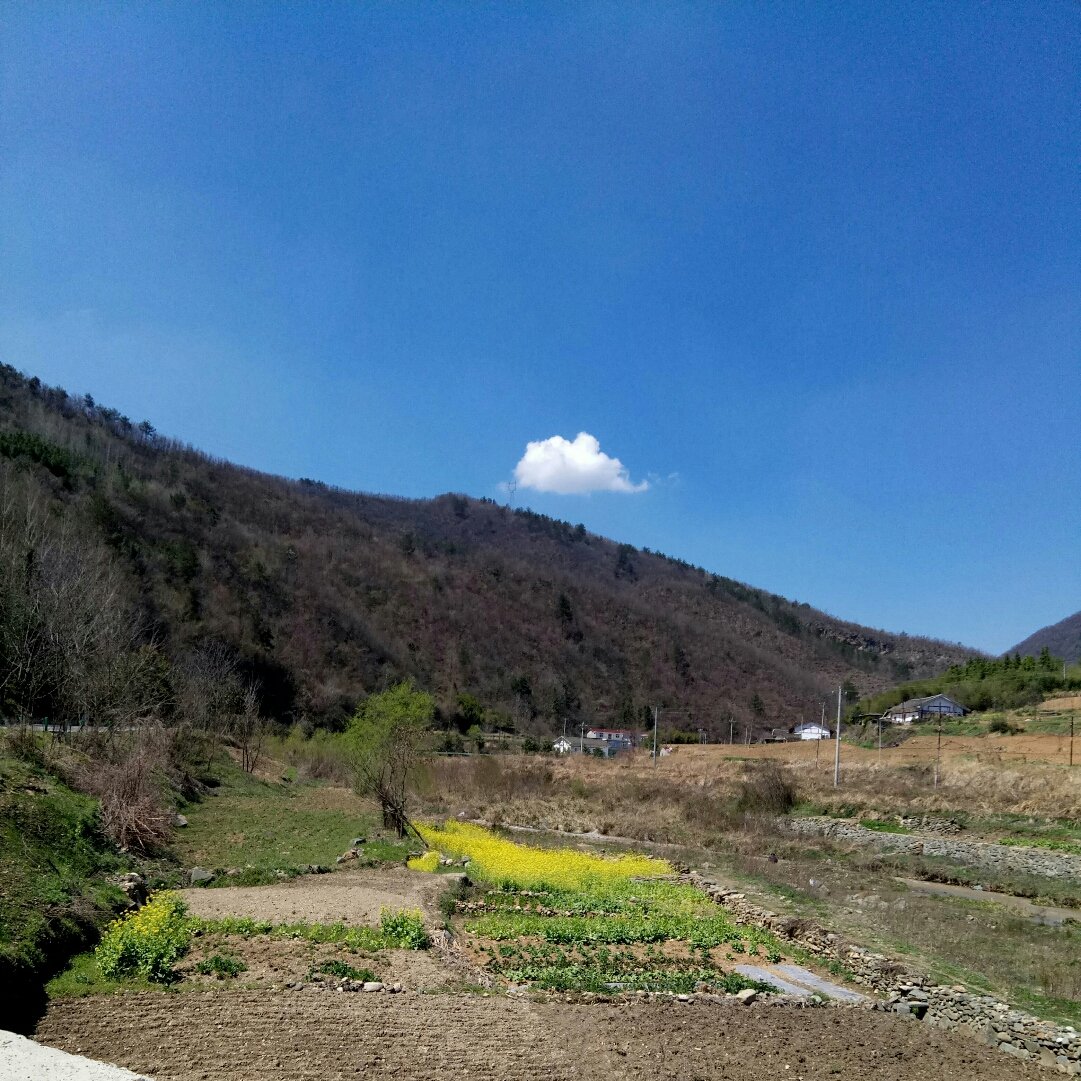 木河乡天气预报更新通知