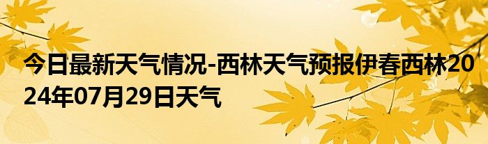 盘克林场天气预报更新