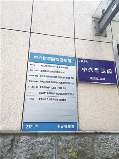 金桥出口加工区交通优化升级助力区域经济发展新动态