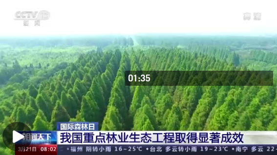 蓝山浆洞林场天气预报更新通知