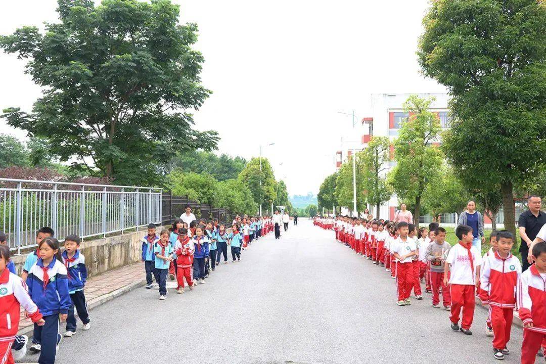 普定县小学招聘最新动态与教育发展探索