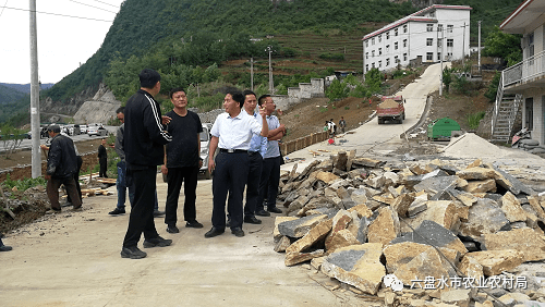 钟山区农业农村局最新动态报道