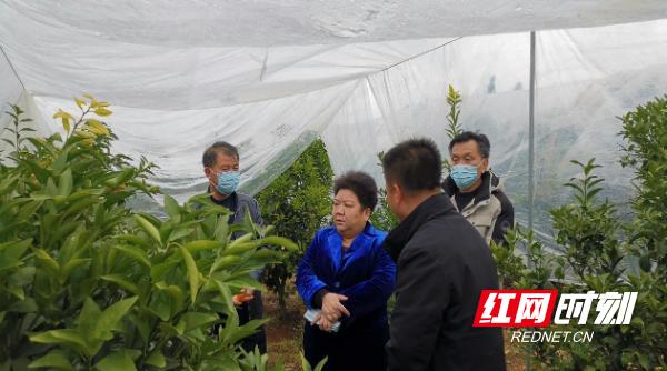 宁远村民委员会天气预报更新通知