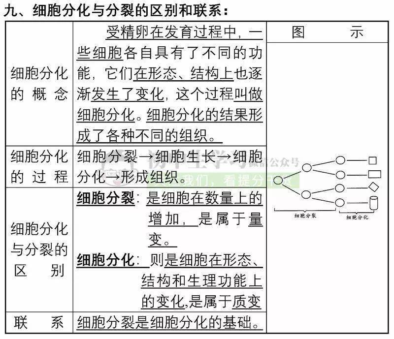 二四六香港资料期中准,深入解析设计数据_云端版67.136