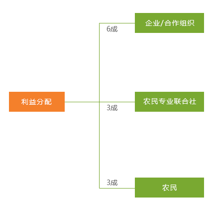 新澳门六开奖结果记录,现状解答解释落实_V71.507