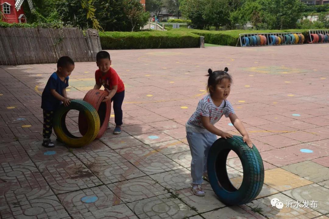 沂水县小学创新项目，引领教育变革，塑造未来之光