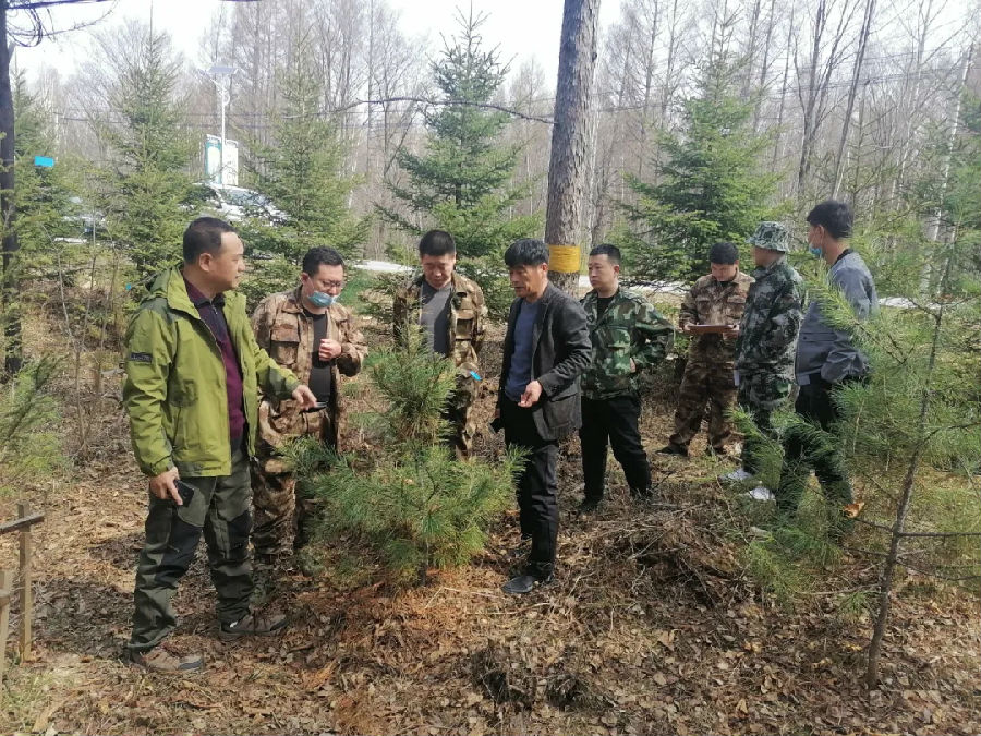 三岔河林场最新招聘启事发布