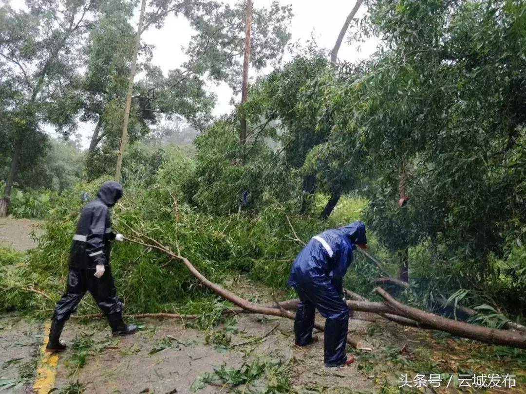 南盛镇交通升级助力地方繁荣发展最新报道