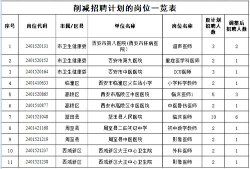 集安市级托养福利事业单位发展规划展望