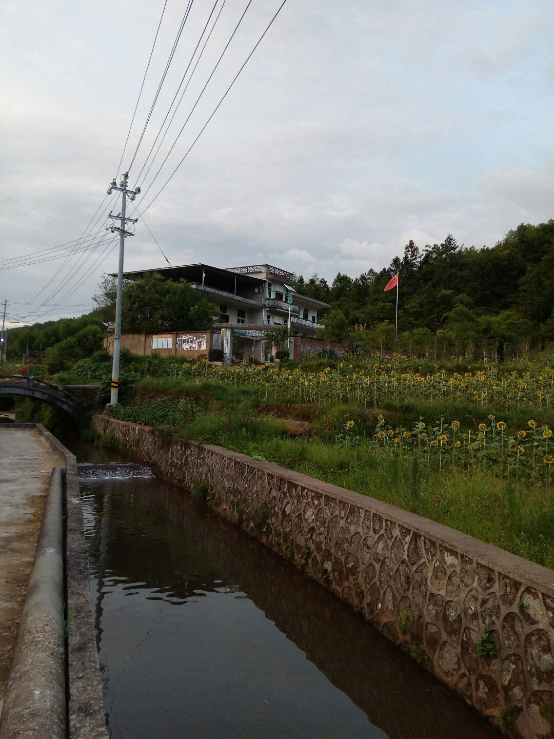 浦源镇天气预报更新