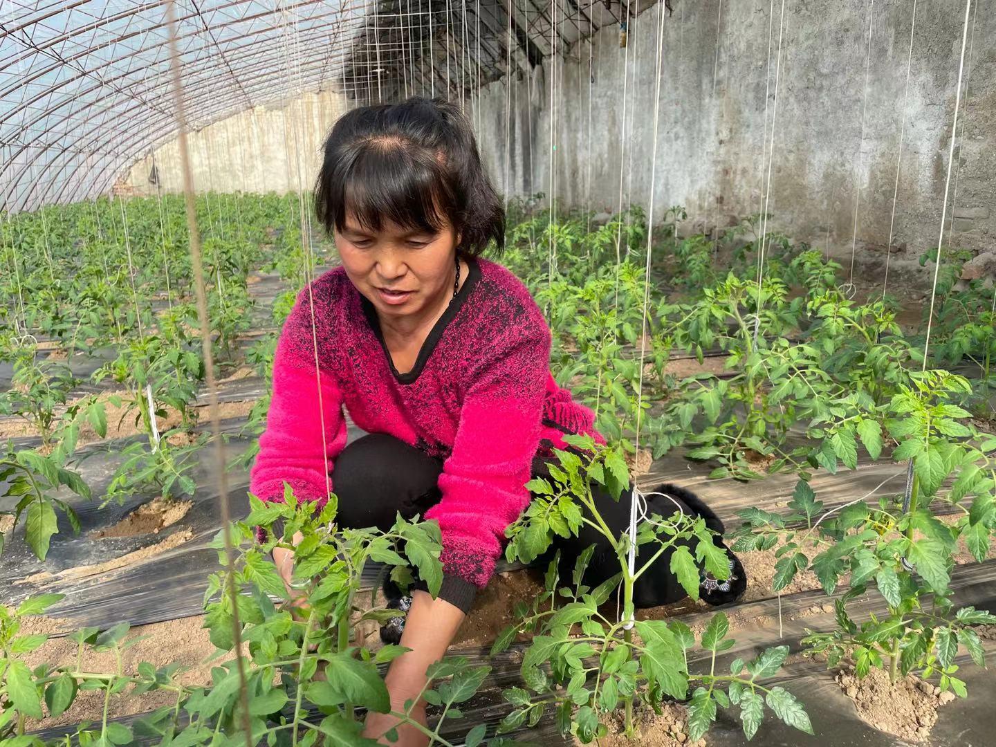 立山区市场监督管理局最新发展规划深度解读