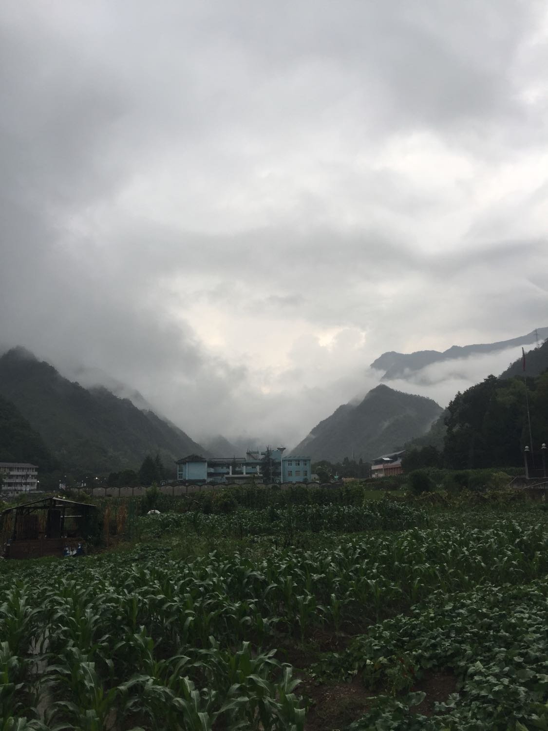 德布村今日天气预报通知