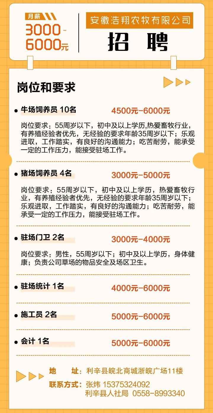 站前最新招聘信息全面解析