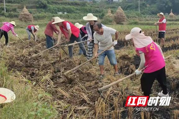 泸溪县卫生健康局最新动态报道