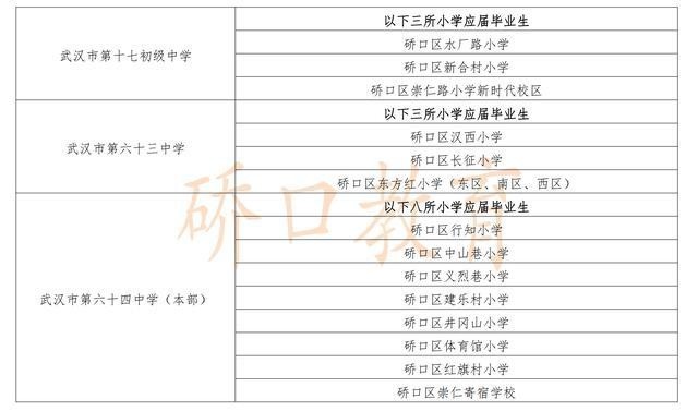 细河区初中最新新闻综述概览