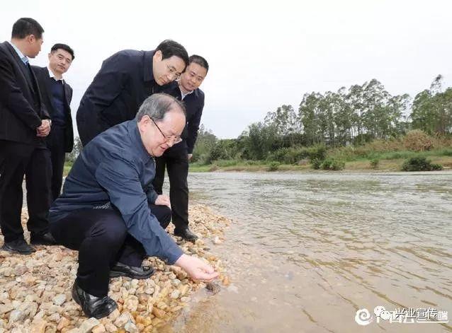 北流市住房和城乡建设局最新发展规划深度解析