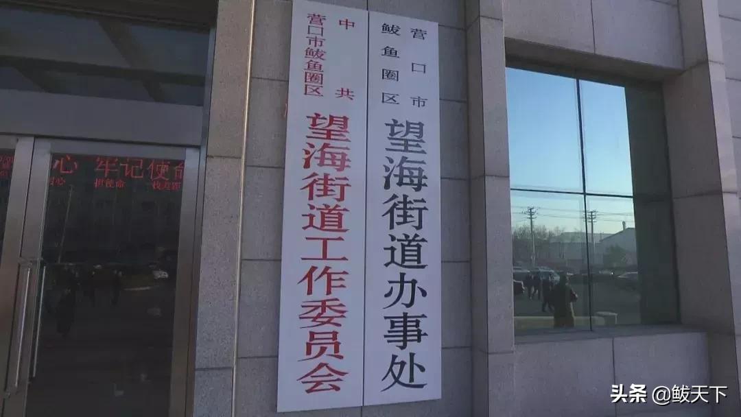 海东地区市人口和计划生育委员会招聘公告全面解读