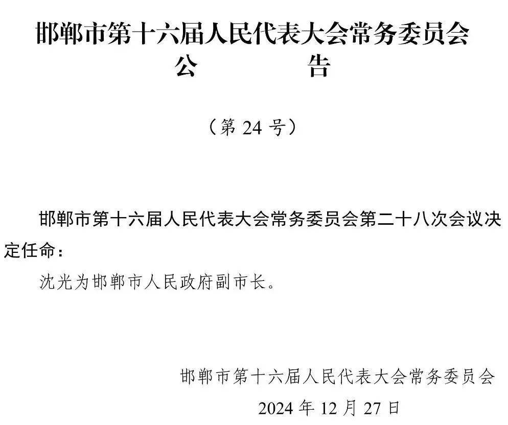 河北区人民政府办公室最新人事任命动态解读