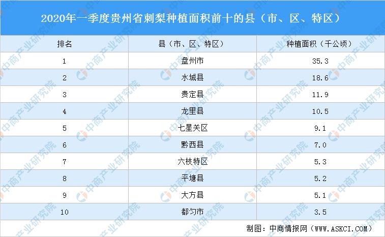 都匀市统计局最新招聘信息深度解析