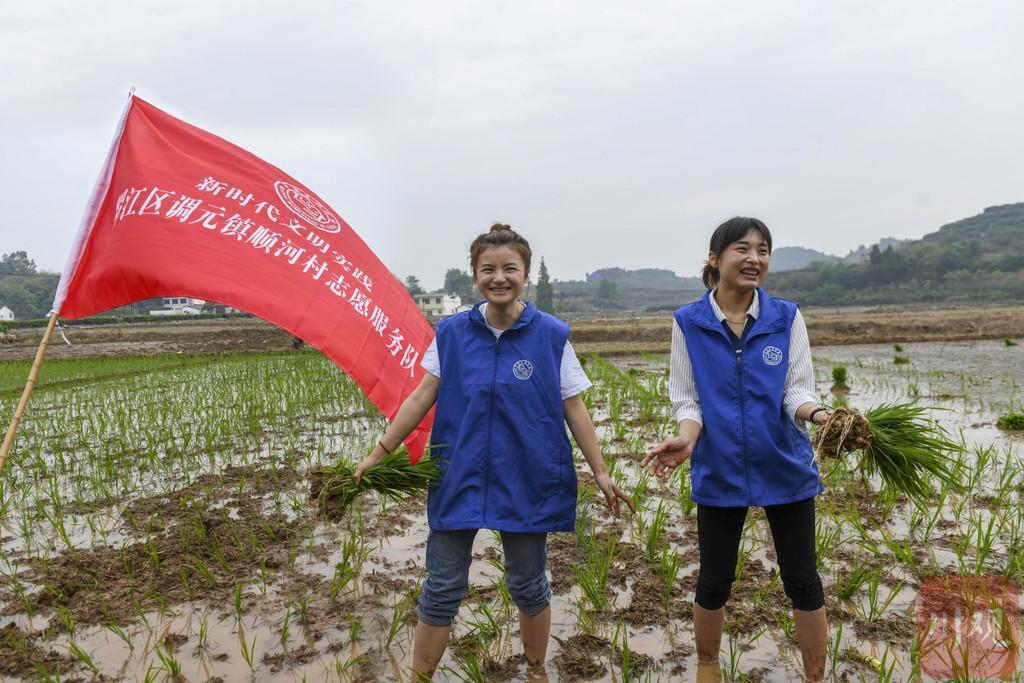 调元村委会最新招聘启事