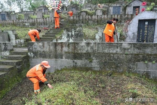 广安市园林管理局最新动态概览