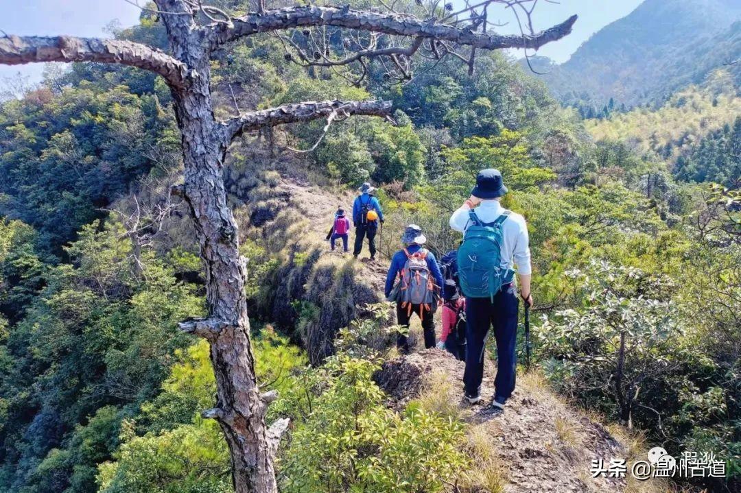 回水村最新动态，乡村振兴与社区发展新篇章开启