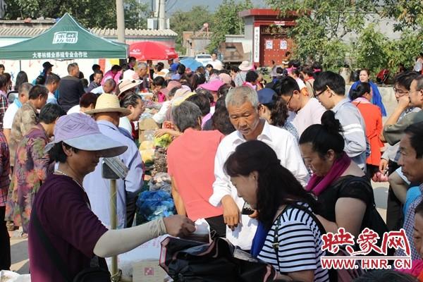 卫辉市住建局领导团队全新亮相，未来工作展望与城市规划新动向