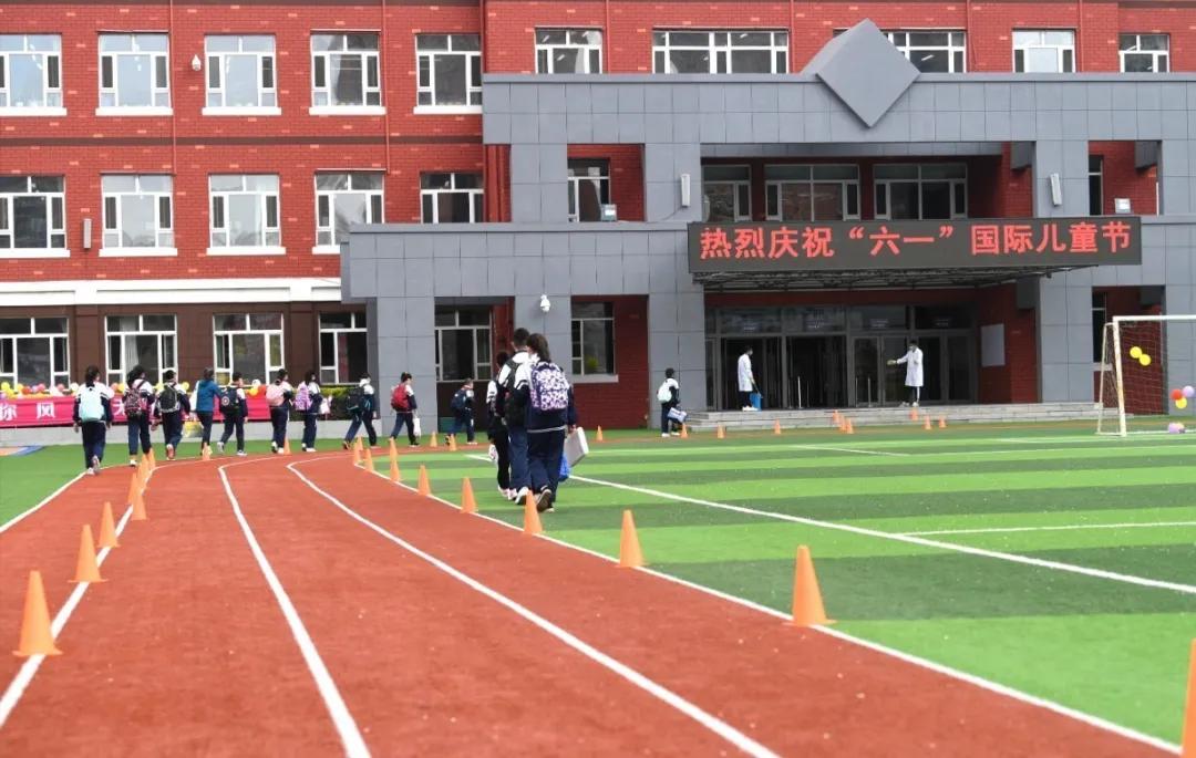 榆树市小学最新新闻综述概览