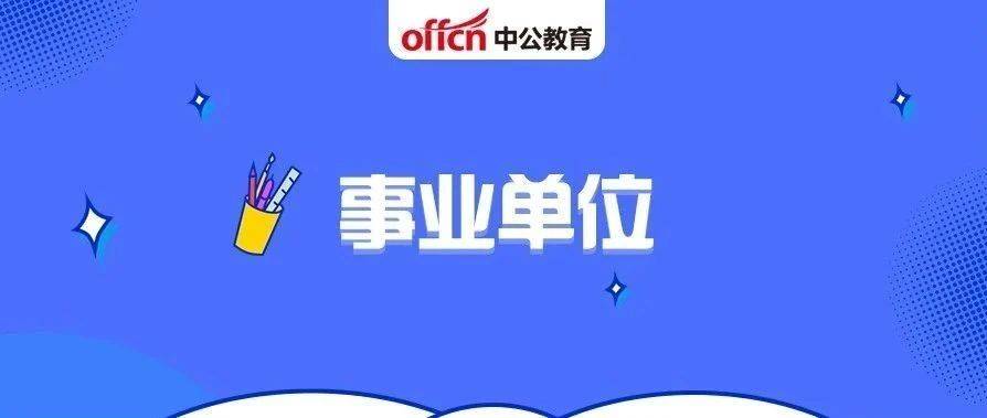 北戴河区交通运输局招聘信息全解析，职位概览、解读及更多细节