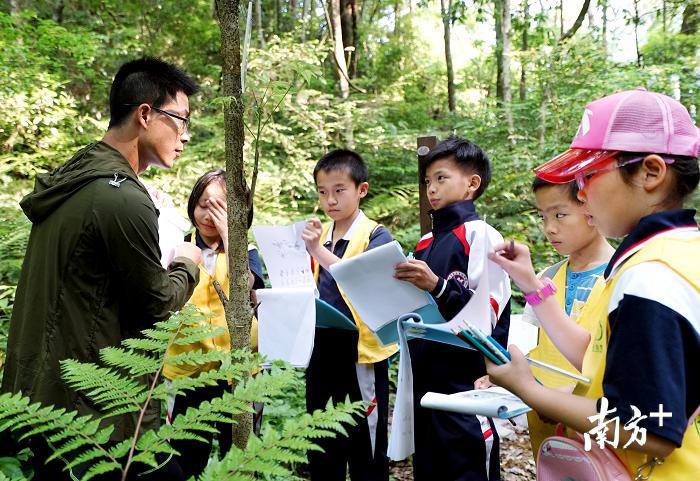 山西省晋城市泽州县南岭乡最新招聘概览