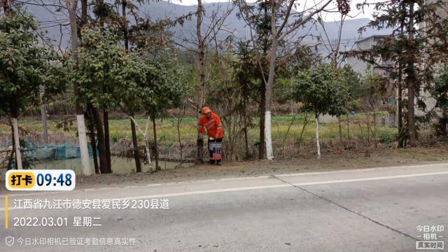 爱民乡新发展规划引领未来乡村新面貌发展之路