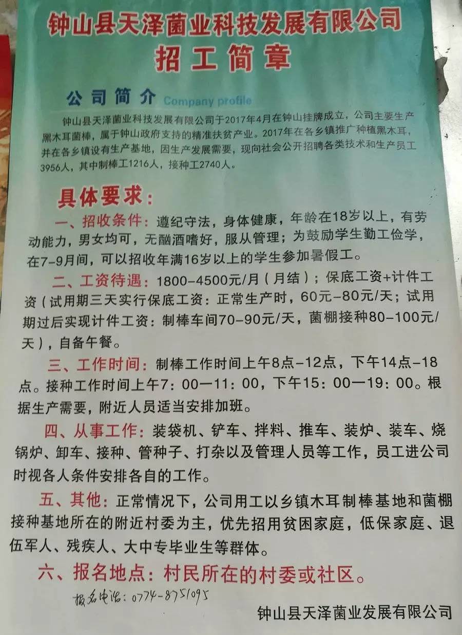 白玉村最新招聘信息总览