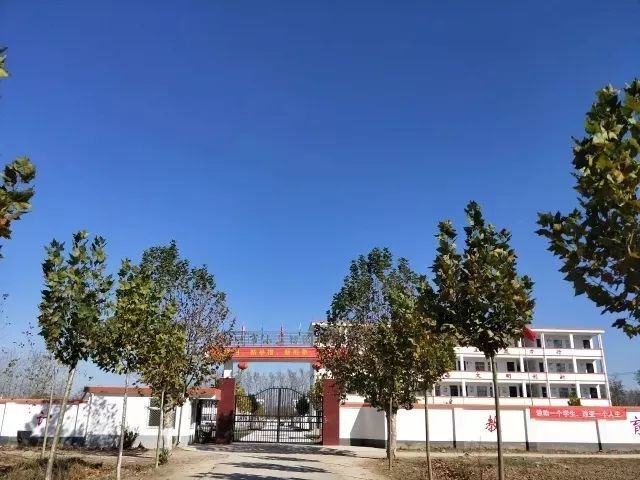 埇桥区小学创新项目，引领教育未来，培育未来之星