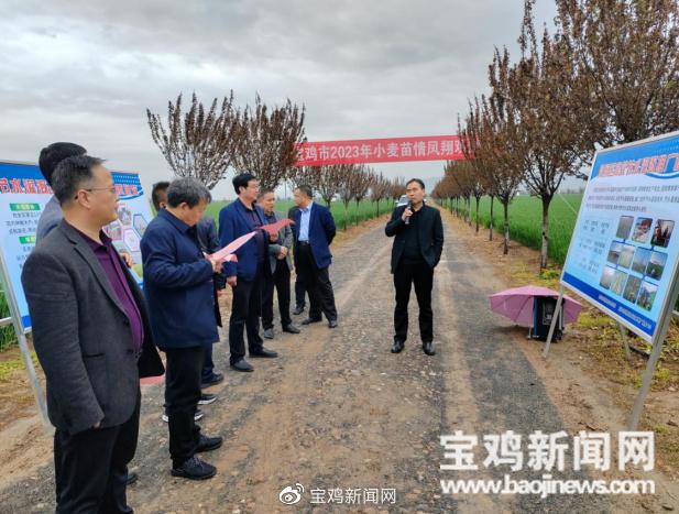 宝鸡市粮食局最新发展规划深度解读