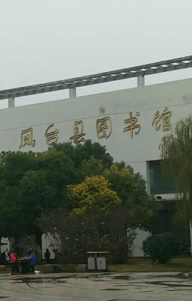 凤台县图书馆最新动态报道