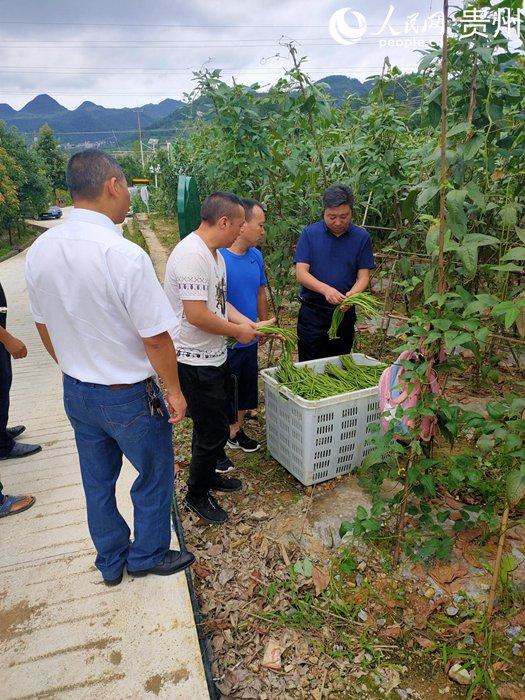 桐梓县住房和城乡建设局领导团队全新亮相，工作展望与期待