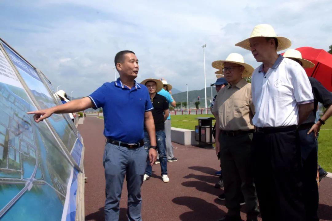 蕉城区级公路维护监理事业单位最新动态，公路维护与监理事业持续进步成就展望