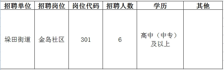 江城区人民政府办公室最新招聘概览，职位、要求及申请指南