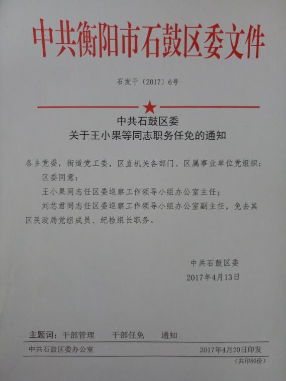 石鼓区民政局领导团队全新布局及最新人事任命揭晓