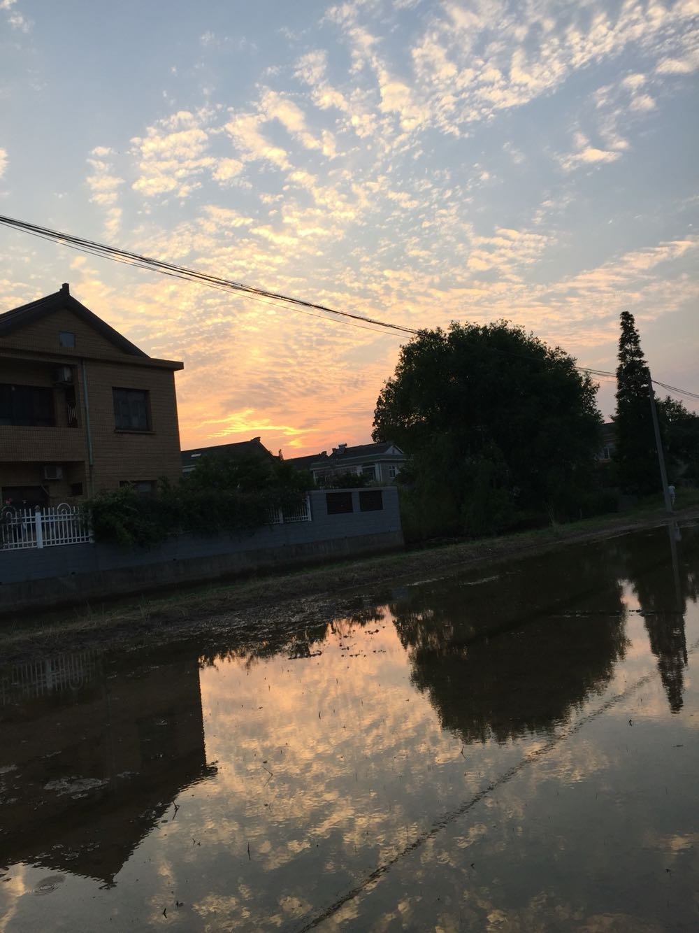 南通市粮棉原种场天气预报最新分析