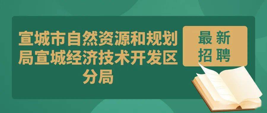 西陵区自然资源和规划局招聘启事