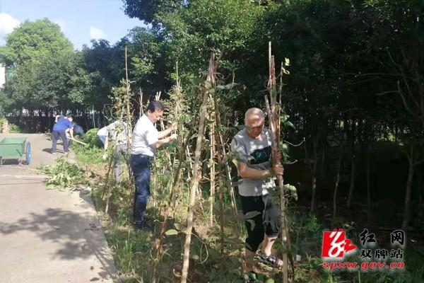 双牌县交通运输局最新动态报道