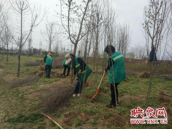 宝丰县卫生健康局最新招聘信息汇总